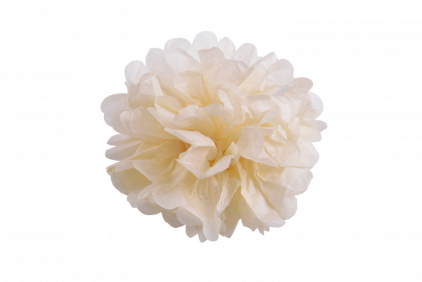 Pompoms Seidenpapier 10er Set