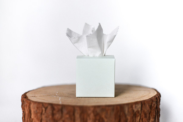 Freudentränen Taschentücher mint