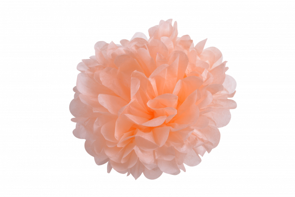 10er Set apricot Pompoms